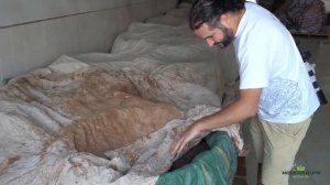 Азбука Чая. Технология производства чая