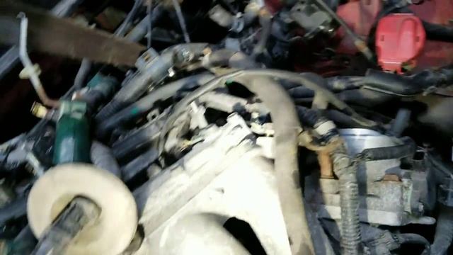 2005 Honda Element Engine Removal