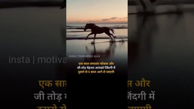 struggle for the existence ? смотреть онлайн