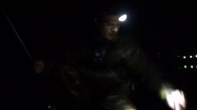 Охота на сома! Вот это КАРАСЬ! Рыбалка в ночь весной! смотреть онлайн