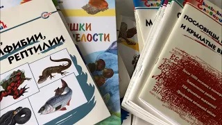 Бюджетные пособия ВАКО из серии «Школьный словарик» смотреть онлайн