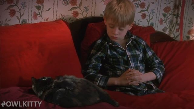 Home Alone with My Cat (OwlKitty Parody) смотреть онлайн
