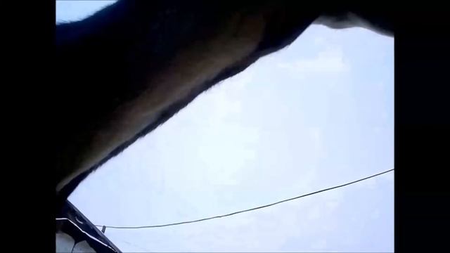 Ежедневник. День 252-й/272-й. Козы в морозы. Химия и естественный отбор. смотреть онлайн