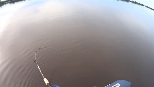 Рыбалка на Иртыше (где то за Тобольском) / август 2017 смотреть онлайн