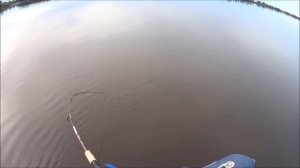 Рыбалка на Иртыше (где то за Тобольском) / август 2017