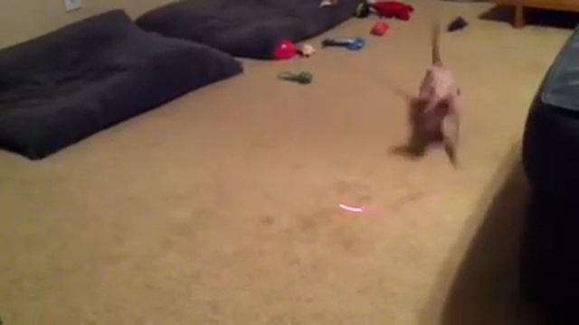 Laser light смотреть онлайн