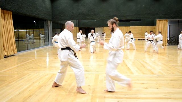 LE KARATE TRADITIONNEL SHORIN-RYU | [DECOUVERTE MARTIALE] смотреть онлайн