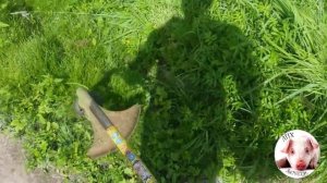 STIHL FS 38. 6 лет работы. Отзыв владельца.