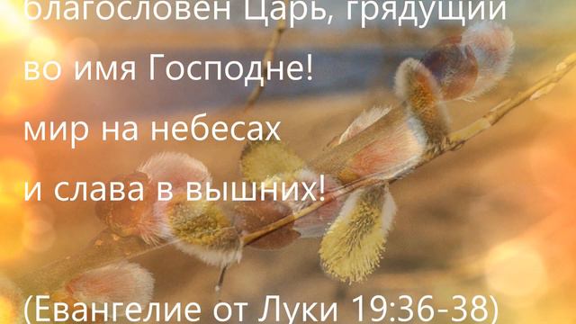 С Вербным Воскресеньем! смотреть онлайн