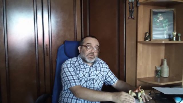 Религия и философия в политике смотреть онлайн