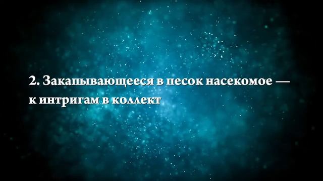 К чему снится большой жук - Онлайн Сонник Эксперт