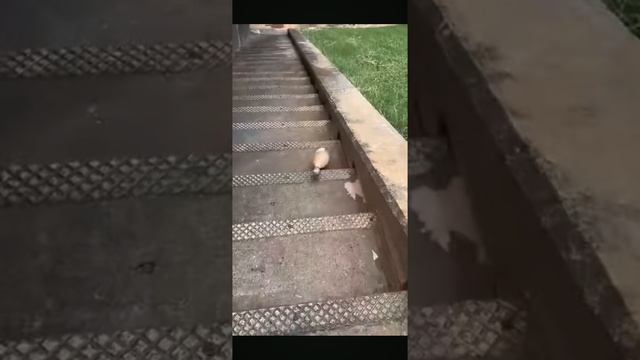 бутылки по лестнице бью смотреть онлайн