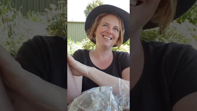 Unboxing a small bulb order! Flower farming mini version смотреть онлайн