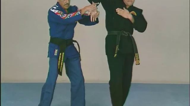 Instructional clip: Combat Hapkido смотреть онлайн