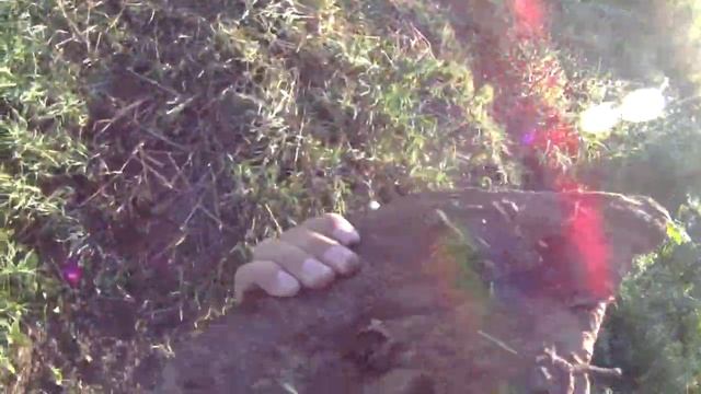 Полевой коп метала с Фортуной М3 смотреть онлайн