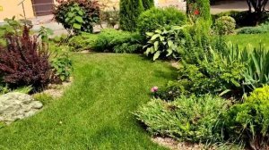 Сделайте такой садик у дома! Туи, гортензии, спиреи, розы