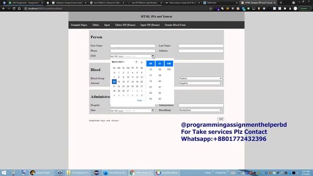 Client Work(Java)| Assignment 2 Output Video | Html Jpa Apache Tomcat смотреть онлайн