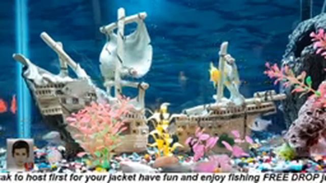 AQUARIUM P-2 RELAXING AND MEDITATION смотреть онлайн