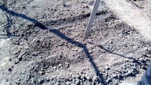 Посадка лука батун на зелень. 15.04.15.