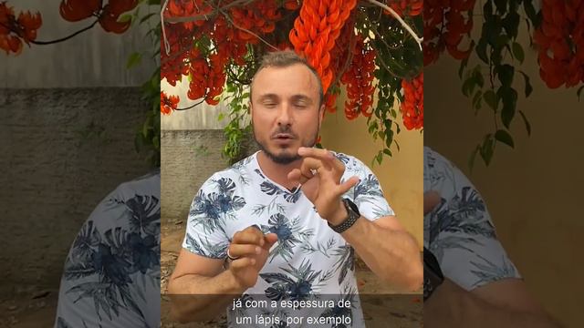 Jade Vermelha | Dicas simples de cultivo com Murilo Soares | Spagnhol Plantas смотреть онлайн