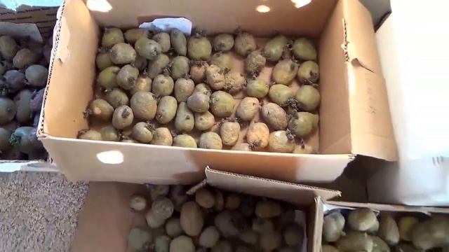 #283 США Аляска Анкоридж Отмечаем окончание учебного года Пробные съемки из машины