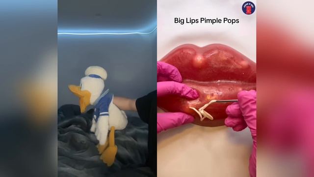 Donald Ducc REACTS To POPPY PLAYTIME TikToks! 14 смотреть онлайн