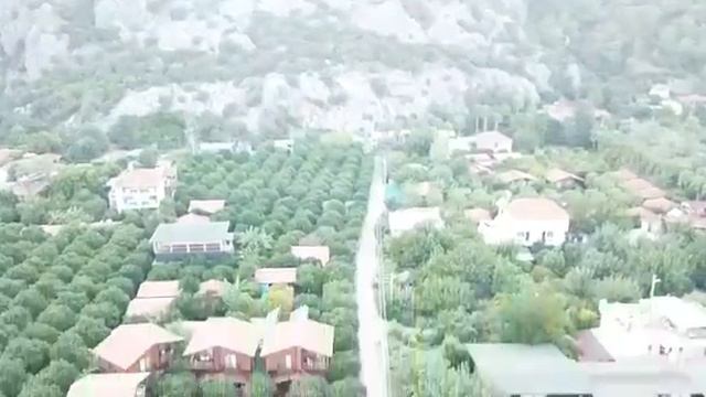 Гостевой дом Palm Konak Apart Hotel 