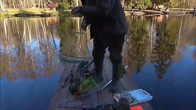 Первые утренние поимки форели. Клёвое место, Лосиный остров, верхний водоём. смотреть онлайн