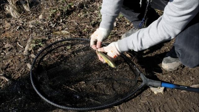 Открытие джерксезона 2014 смотреть онлайн