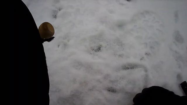 Первый выход на лед. Ноябрь 2017 смотреть онлайн