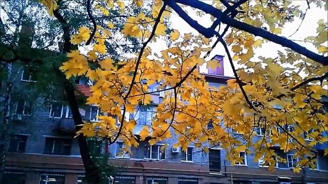 🍂 🍁 Осень в Воронеже 🍂 🍁 смотреть онлайн