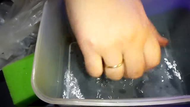 Посадка семян перца в кухонные губки смотреть онлайн