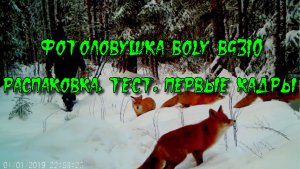 Фотоловушка Boly BG310. Распаковка, тест в-30C, первые кадры..