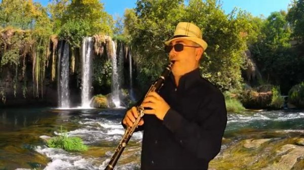 МОЛОДЫЕ ГОДЫ ARTURO кларнет.