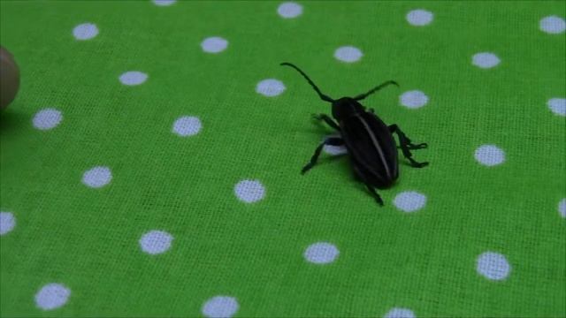 Говорящий Жук Усач смотреть онлайн