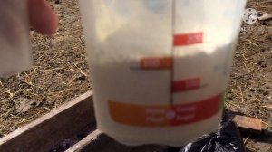 ЗЦМ ДЛЯ КОЗЛЯТ И ЯГНЯТ СУХОЕ МОЛОКО