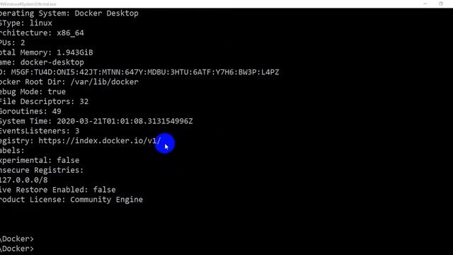 Docker commands | docker logs| docker info смотреть онлайн