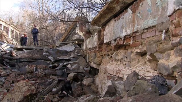 Работа кинологов на завалах В Екатеринбурге смотреть онлайн
