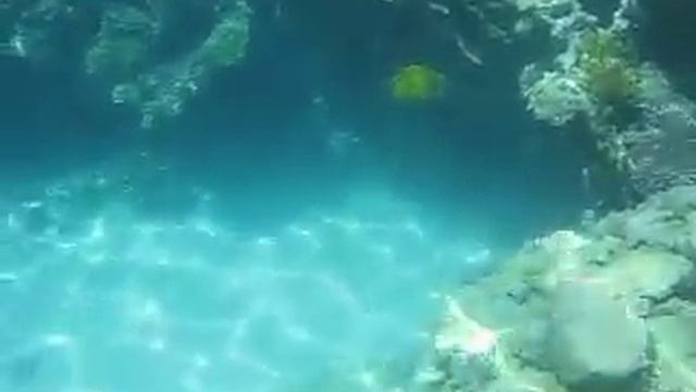 Этот удивительный подводный мир. Наама Бей, Шарм эль шейх, Египет. смотреть онлайн