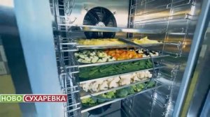 Аппараты шоковой заморозки Abat   замораживание овощей