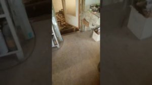 Котёл зота с автоматикой