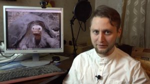 Ваши потомки их никогда не увидят! Недавно вымершие животные