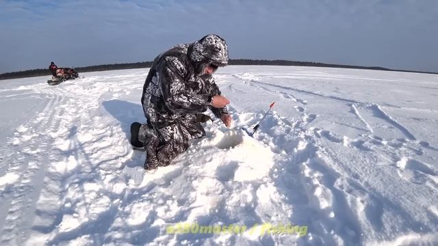 Щучье безумие на Юконде. Тайга ХМАО. Часть 1. Вдвоём на необловленных озёрах.