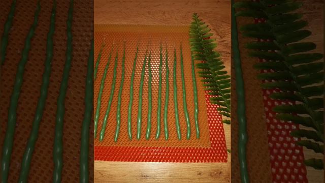 МАКАНЫЕ свечи с базиликом, программа "Финансовый успех и благополучие" смотреть онлайн