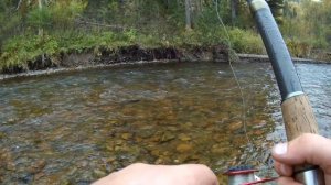 Хариус на малых реках Хакасии. Часть 1