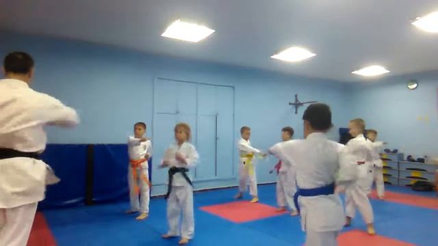 Кихон - возвращаемся к основам шотокан каратэ.