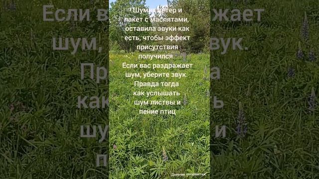 Лес смотреть онлайн