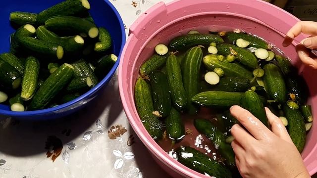 САМОЕ ВАЖНОЕ ДЕЛО КОТОРОЕ МЫ СДЕЛАЛИ ЭТИМ ЛЕТОМ/ОТВЕЧАЮ НА ВАШИ ВОПРОСЫ смотреть онлайн