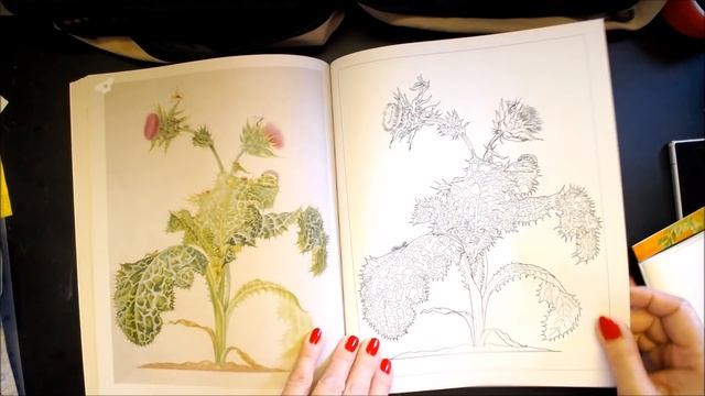 Maria Merian's Butterfly Colour Book Complete Flip смотреть онлайн