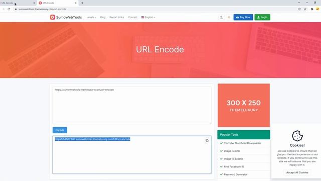 URL Decode | SumoWebTools смотреть онлайн